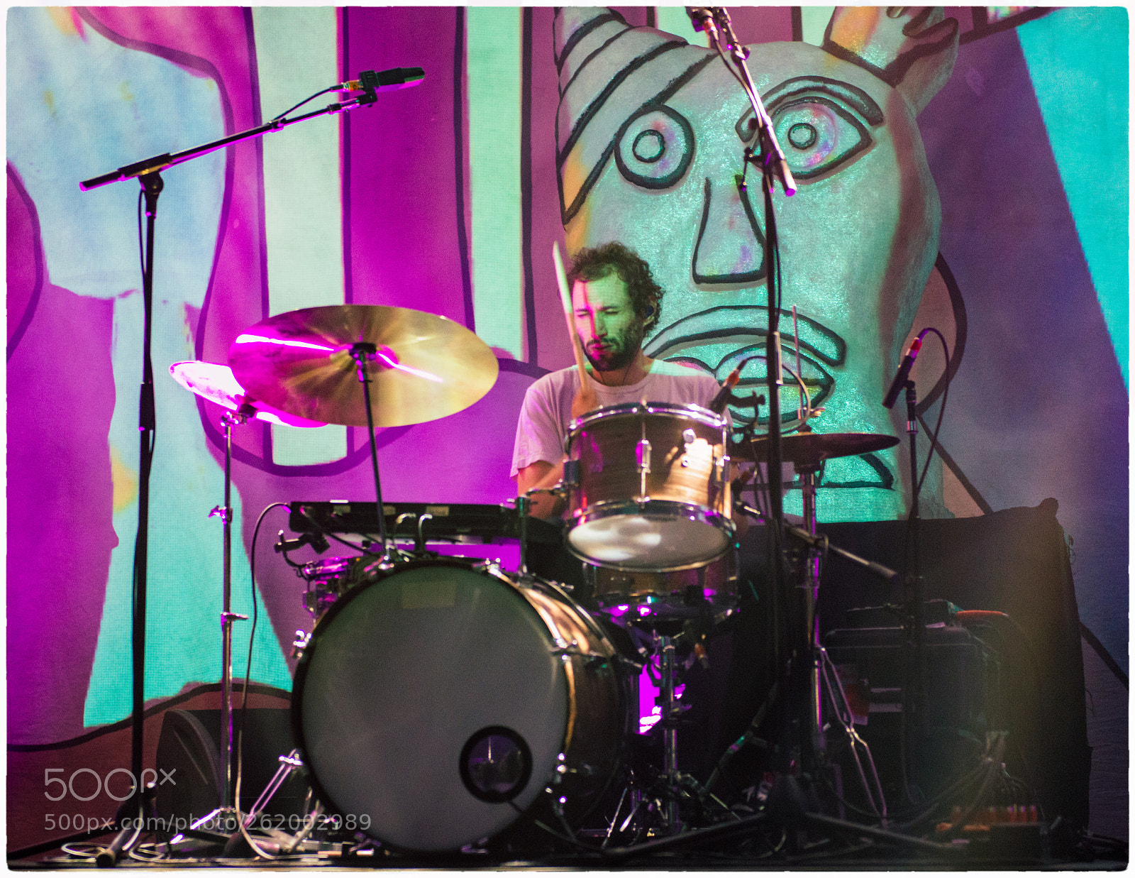 Nikon D800E sample photo. Animal collective photography