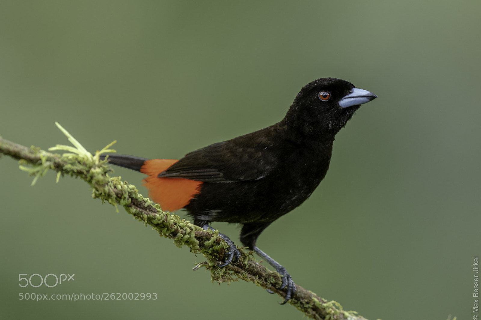 Nikon D850 sample photo. Costa rica photography