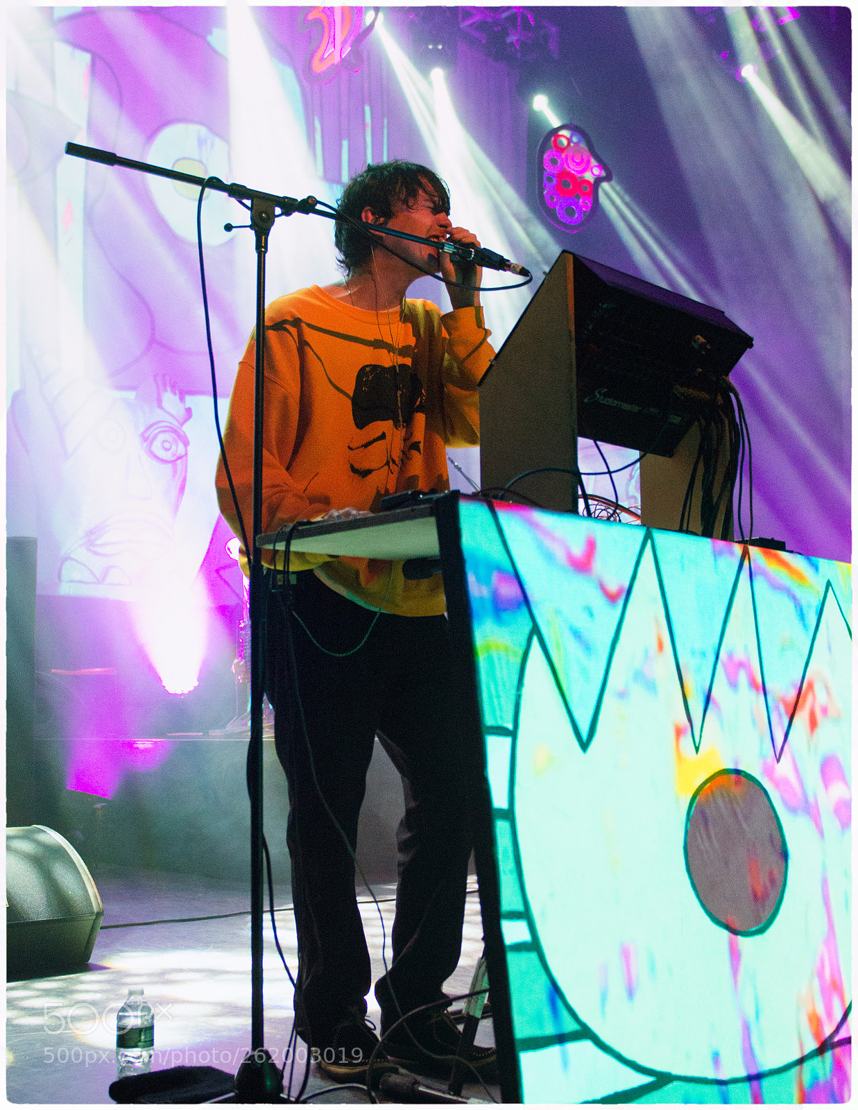 Nikon D800E sample photo. Animal collective photography