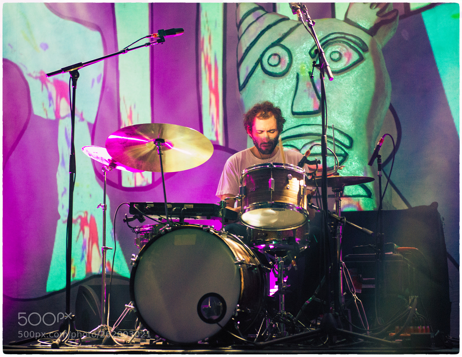 Nikon D800E sample photo. Animal collective photography