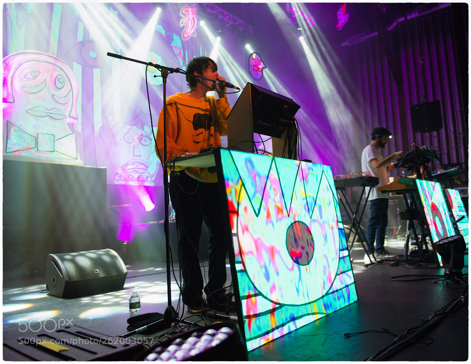 Nikon D800E sample photo. Animal collective photography