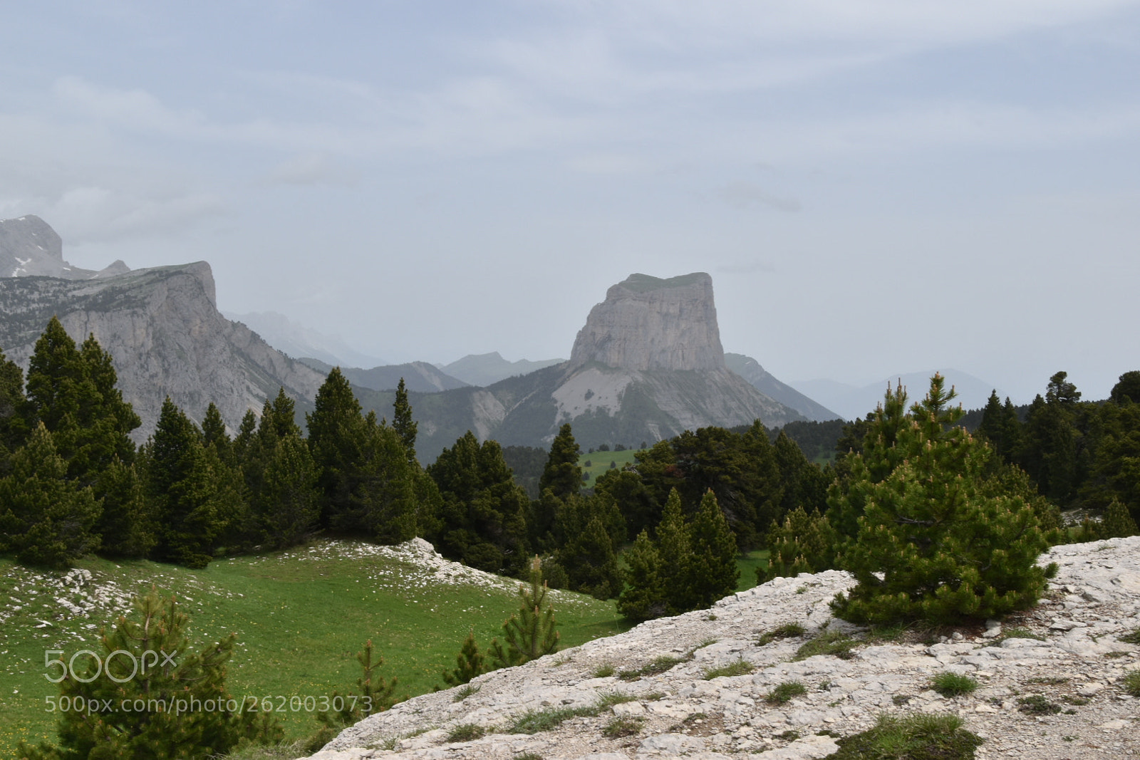 Nikon D5600 sample photo. Untitled photography