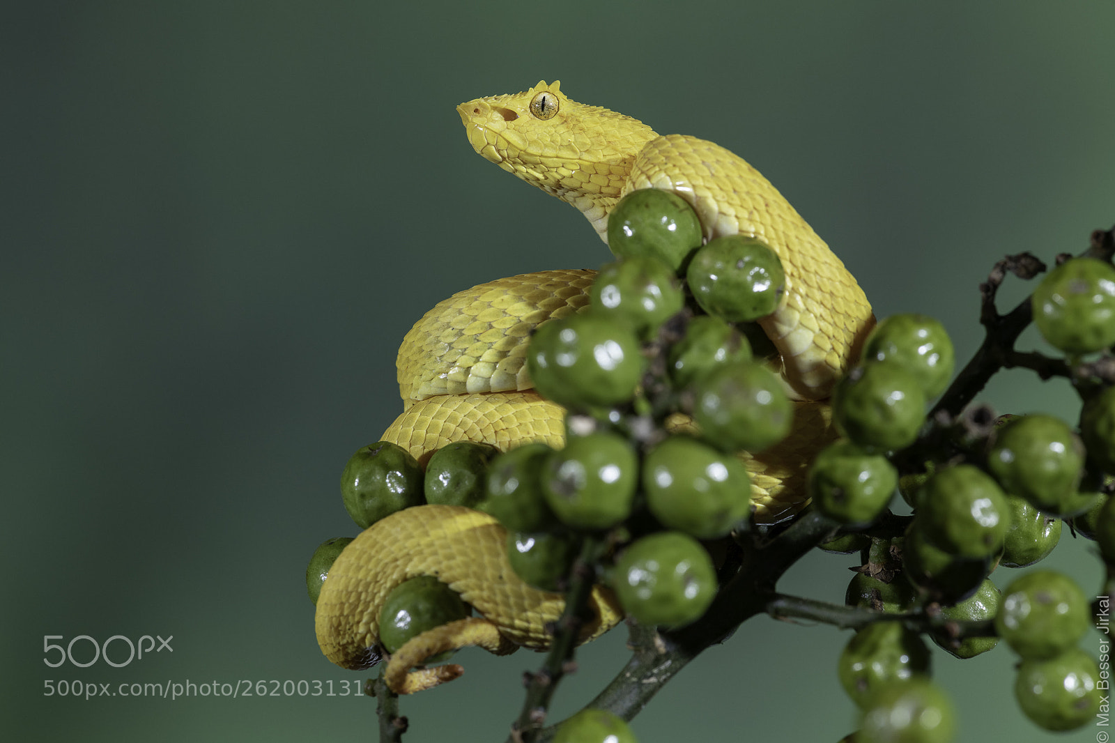 Nikon D850 sample photo. Costa rica photography