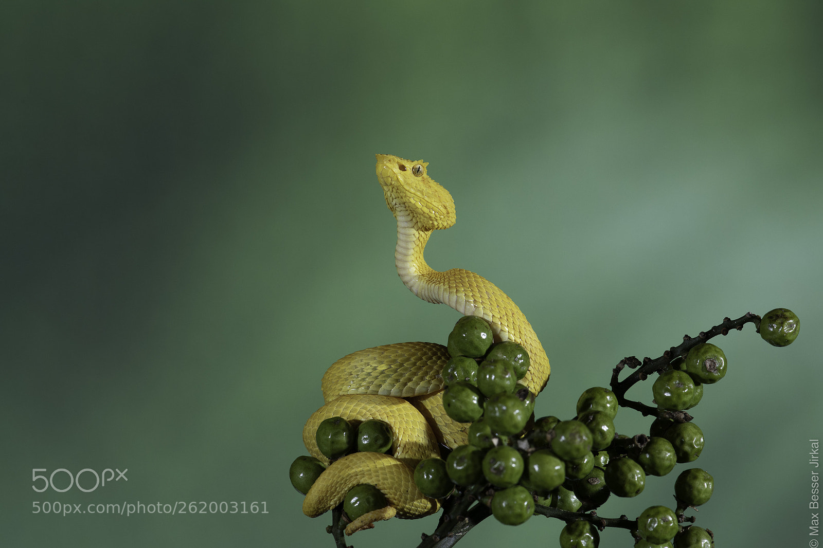 Nikon D850 sample photo. Costa rica photography