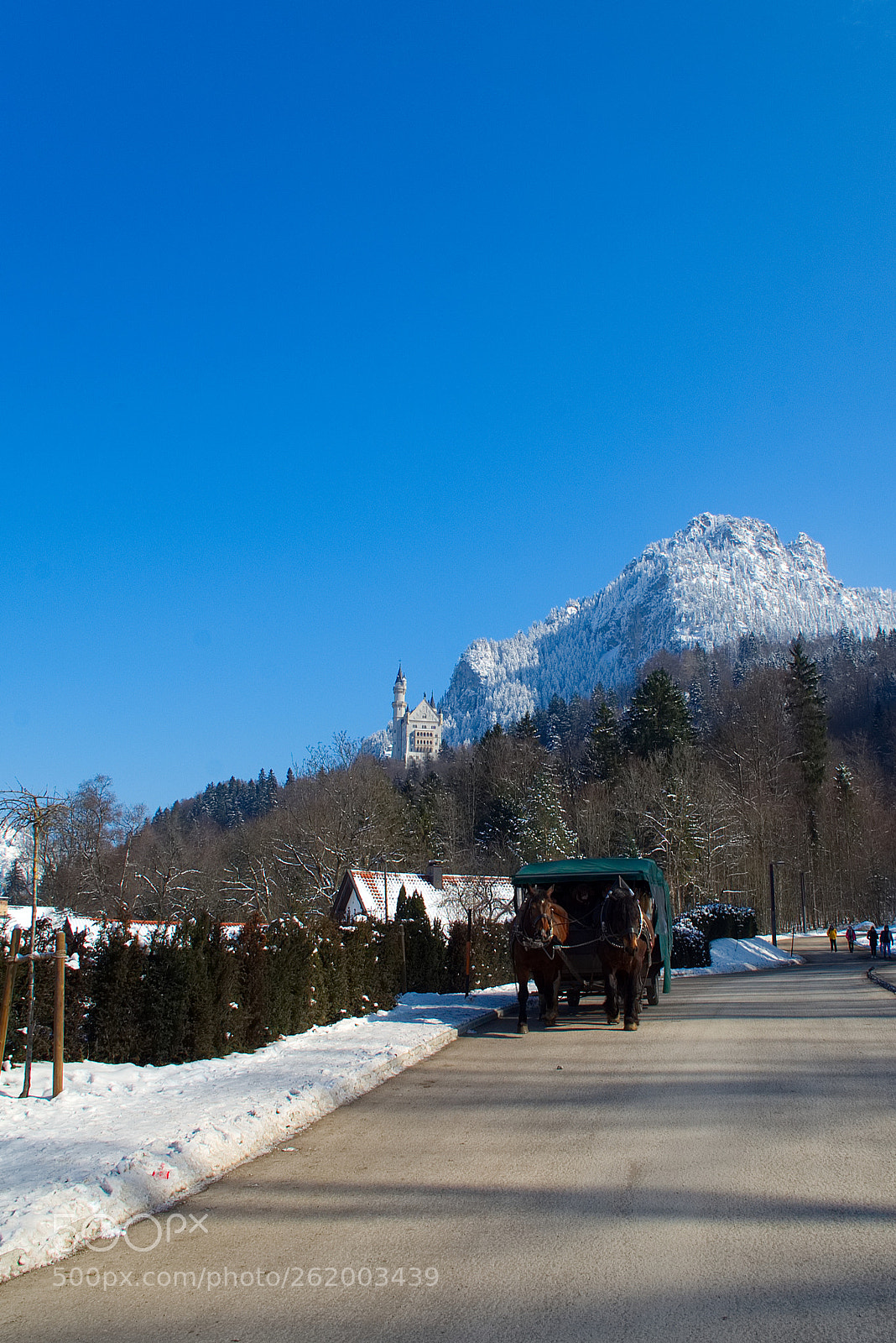 Sony a7 II sample photo. Pferdekutsche bei neuschwanstein photography