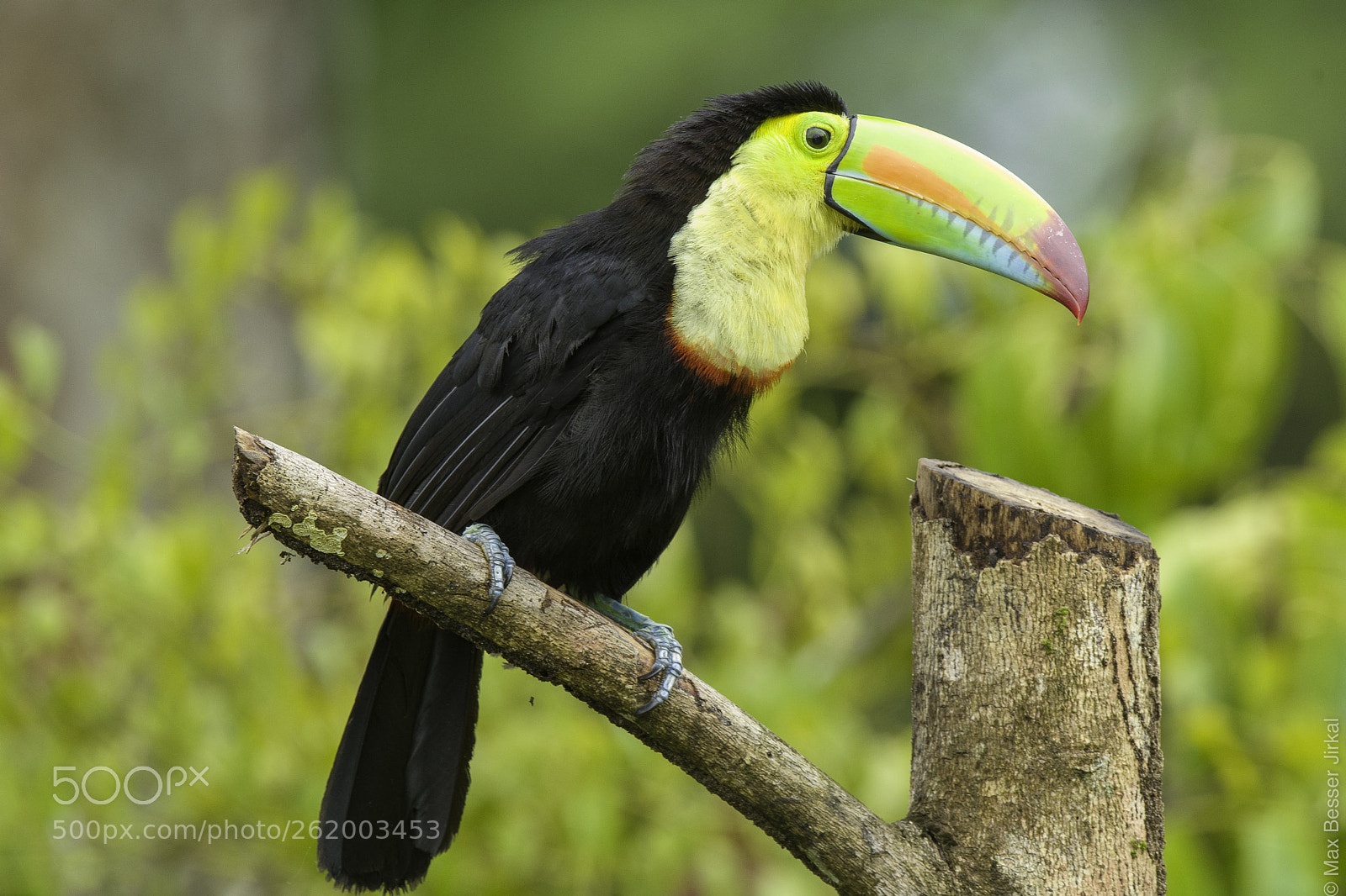 Nikon D500 sample photo. Costa rica photography