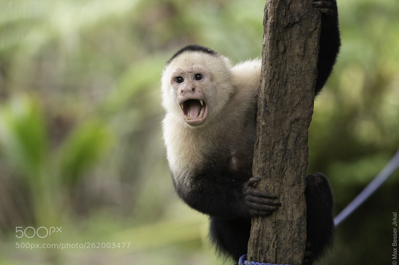 Nikon D850 sample photo. Costa rica photography