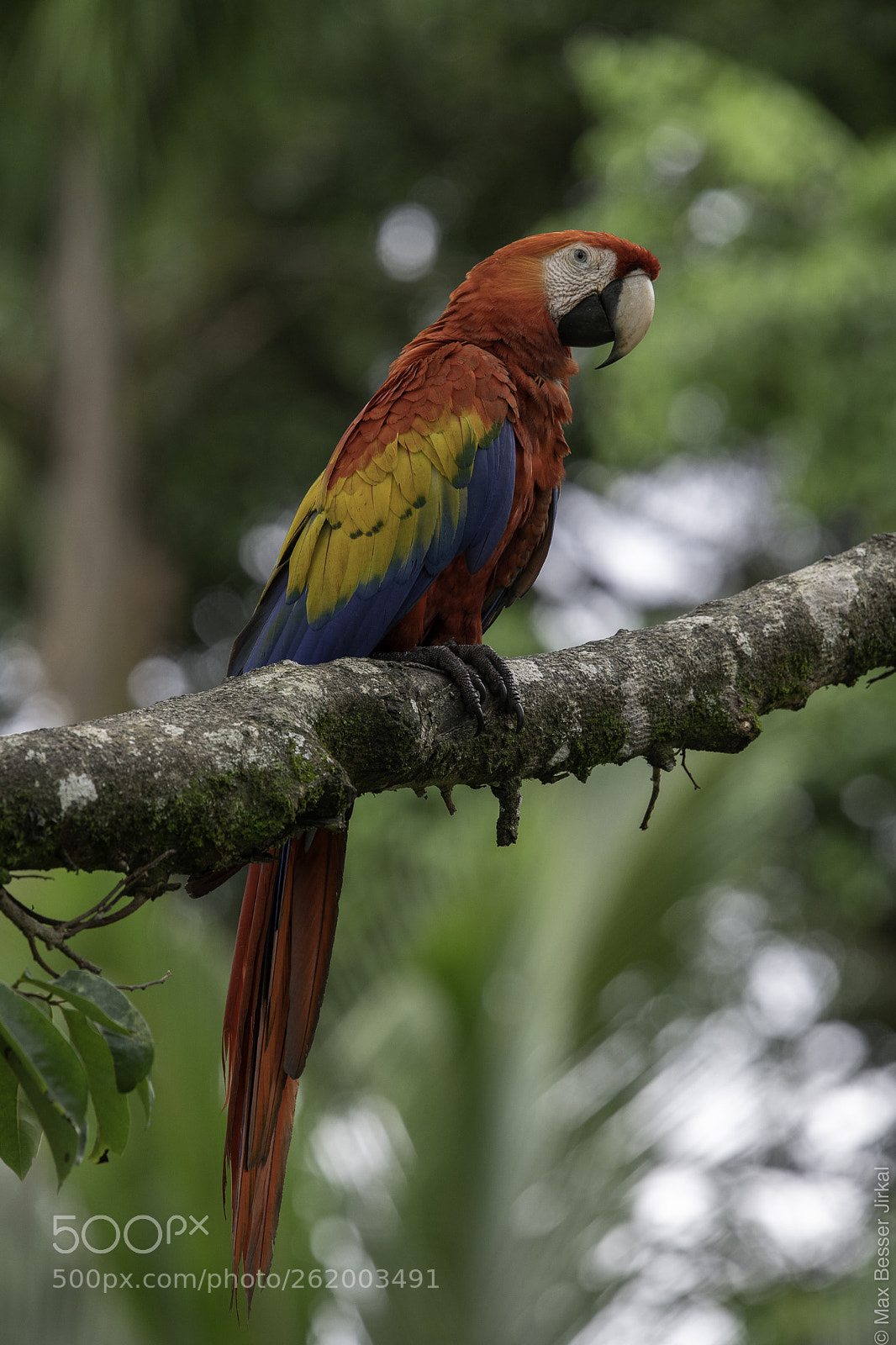 Nikon D850 sample photo. Costa rica photography