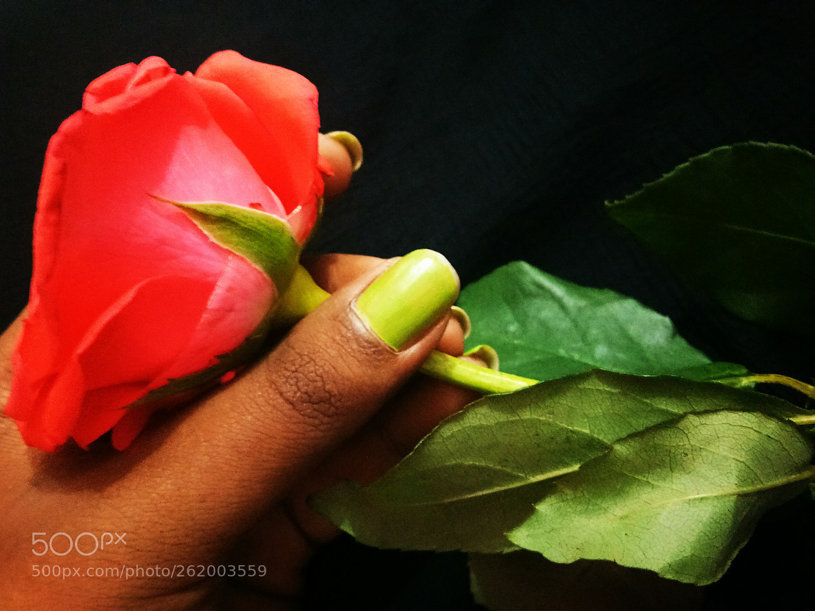 vivo 1601 sample photo. Untitled photography