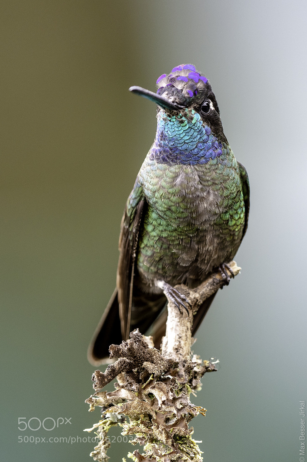 Nikon D500 sample photo. Costa rica photography