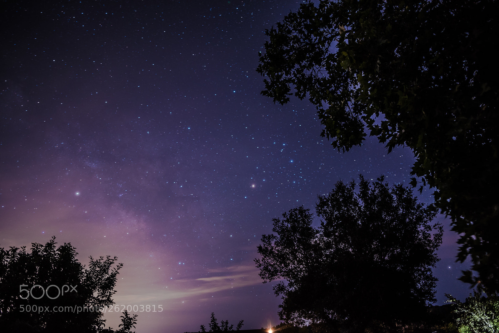 Nikon D750 sample photo. Sonoma night sky  photography
