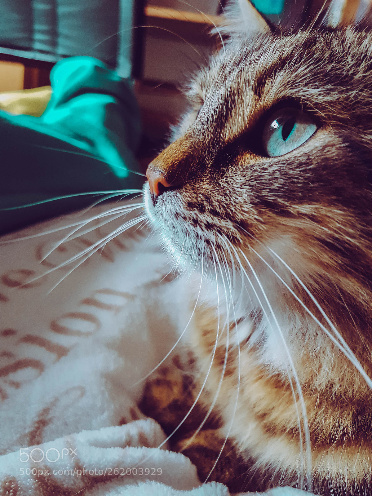 Samsung Galaxy S8 sample photo. Hugo photography