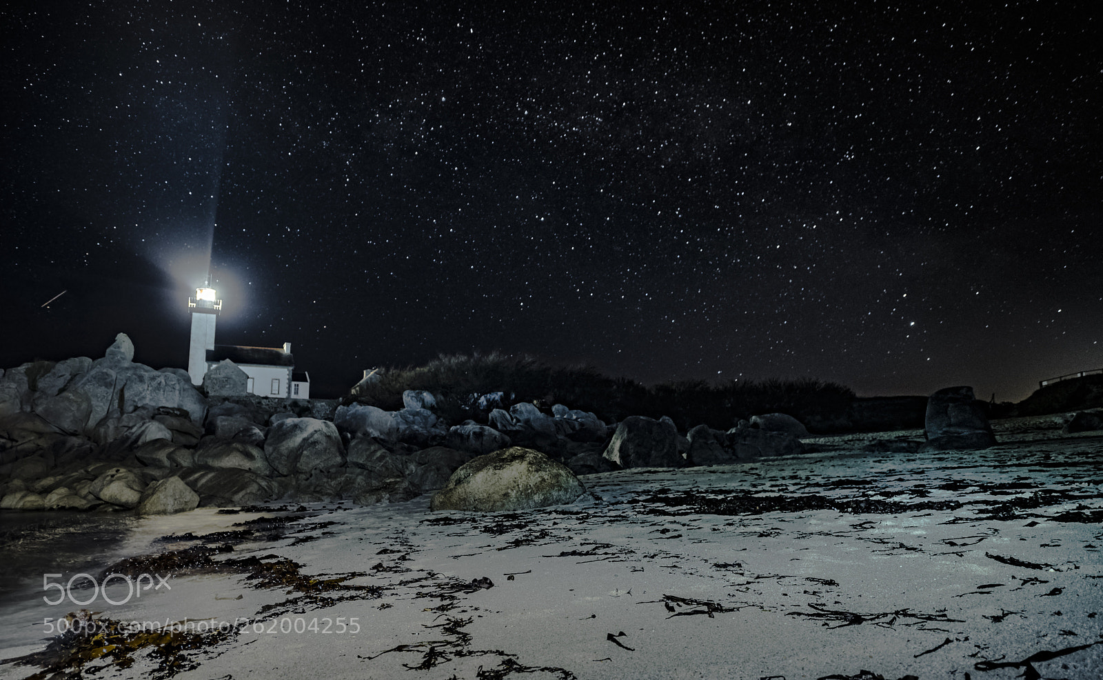 Nikon D750 sample photo. Starly shore photography