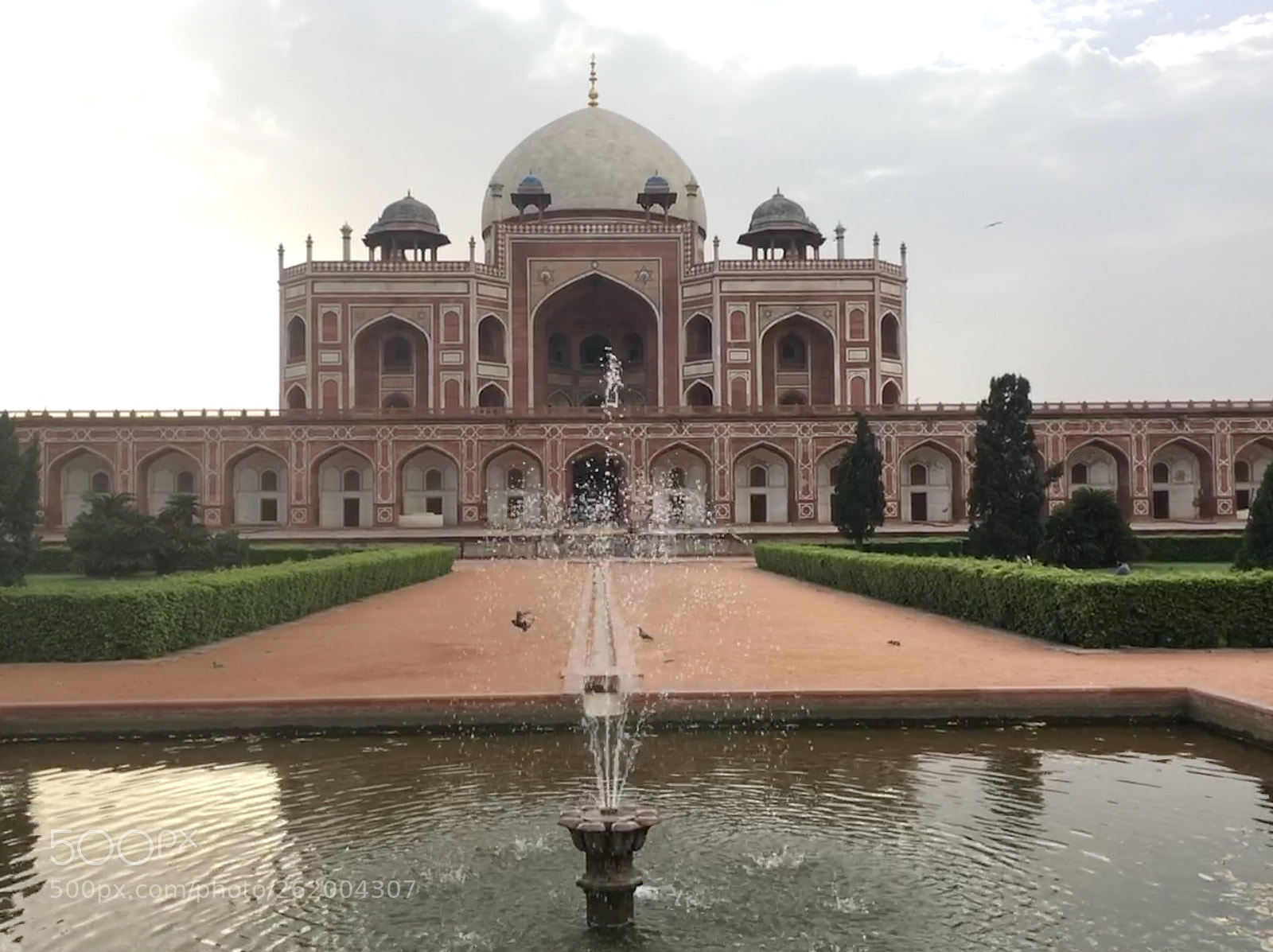 Apple iPhone SE sample photo. Untitled photography