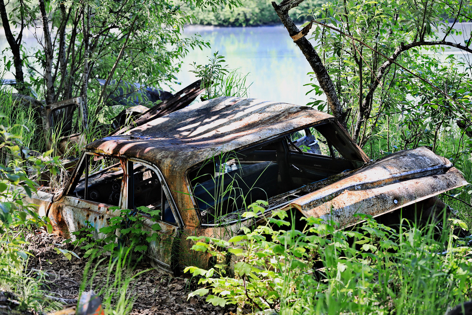 Canon EOS 5D Mark IV sample photo. Alaska finds photography