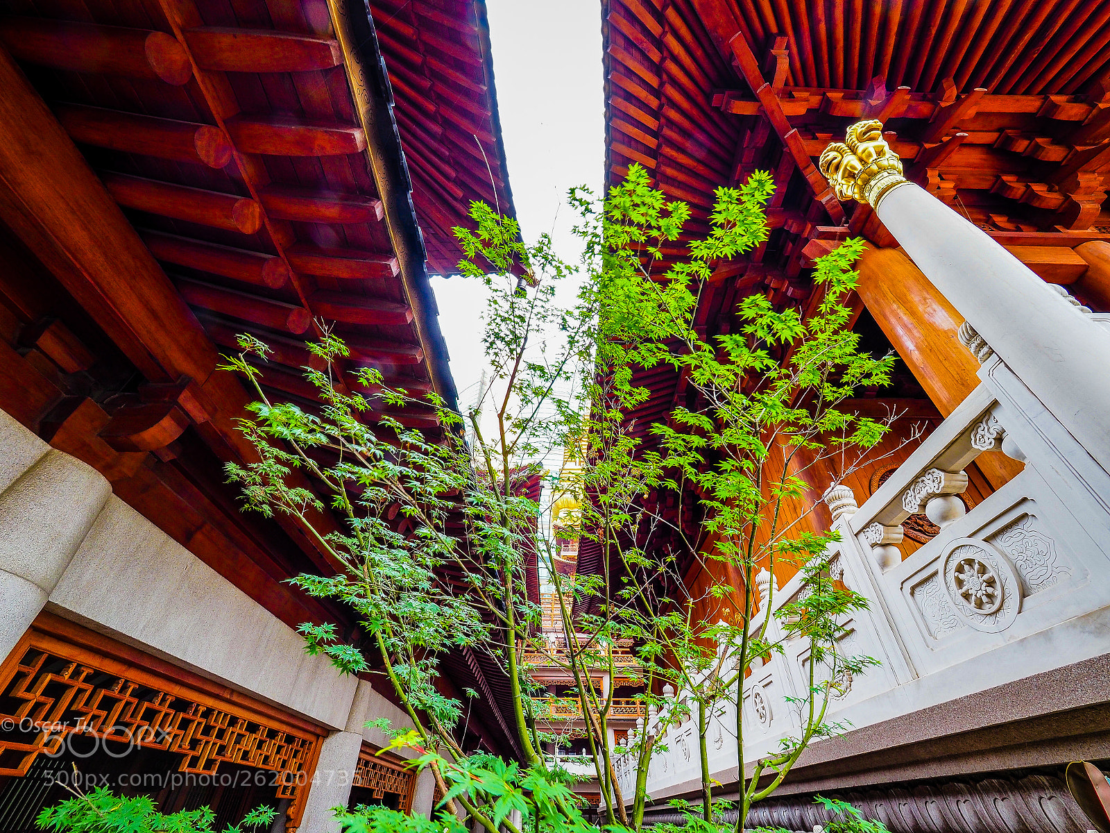 Olympus OM-D E-M1 Mark II sample photo. Untitled photography