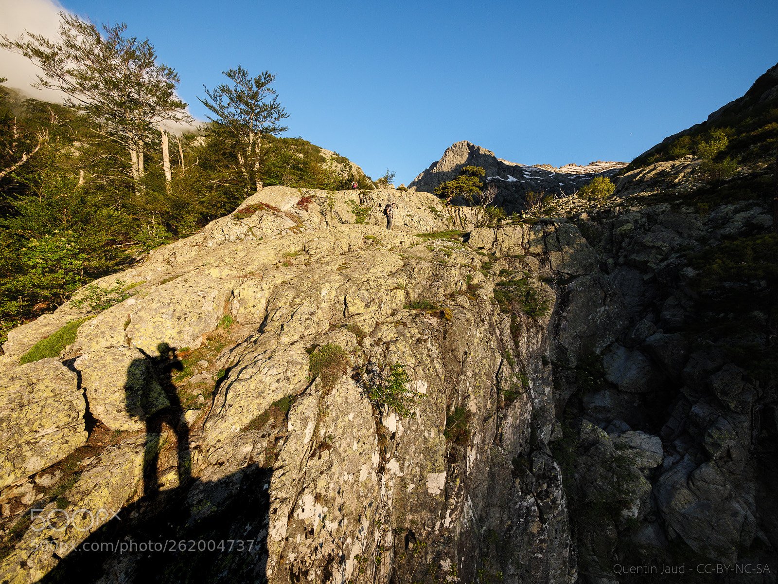 Panasonic Lumix DC-G9 sample photo. Morning shadow in corsica. photography