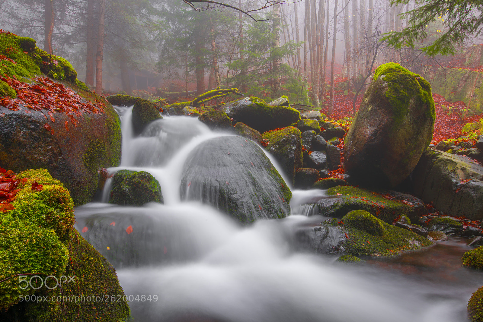 Nikon D810 sample photo. Autumn waterfall photography