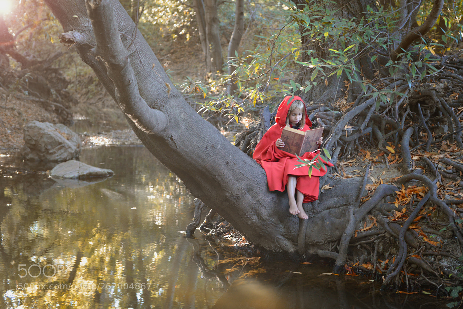 Nikon D800 sample photo. ... red photography