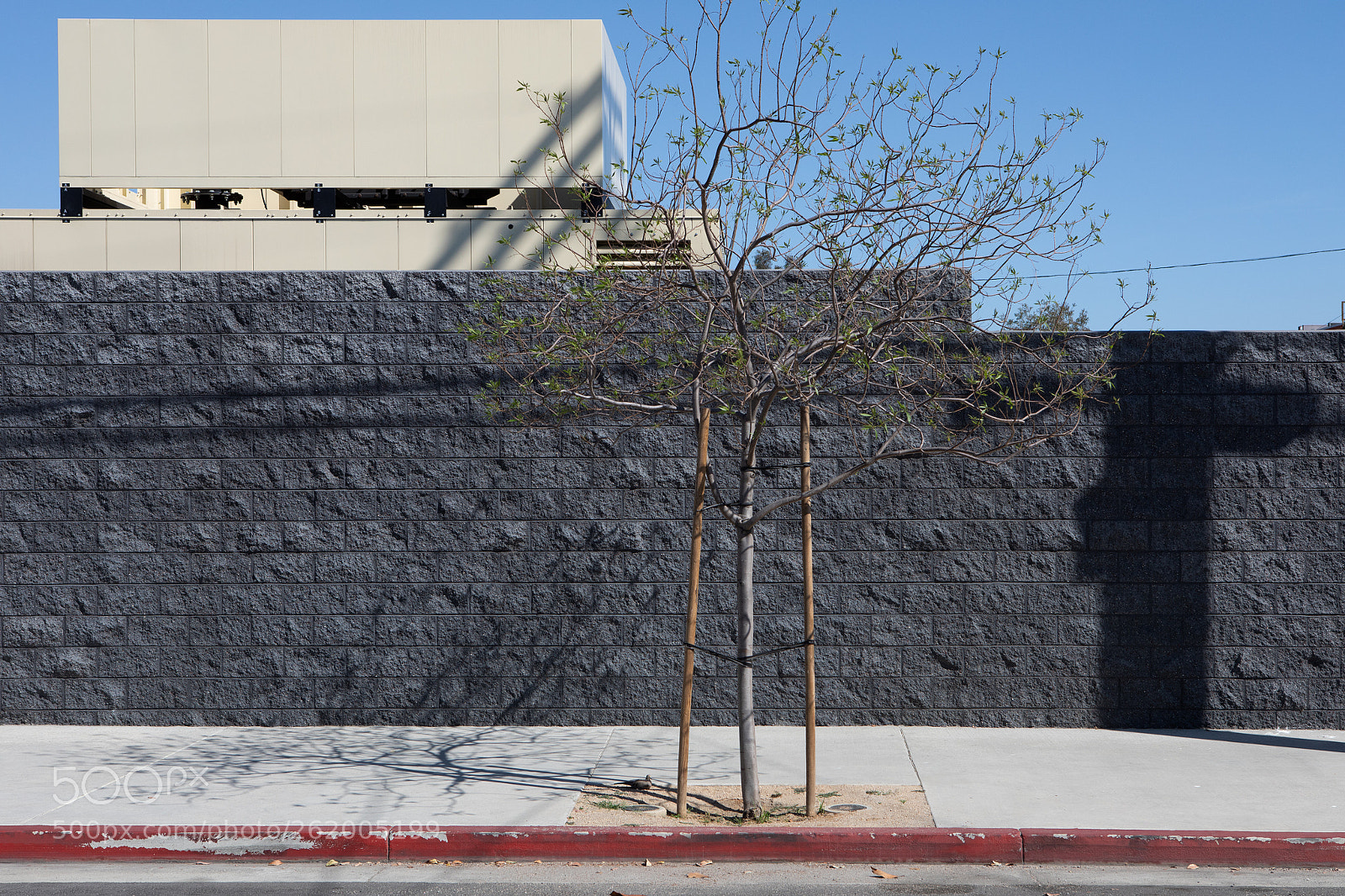 Canon EOS 5D Mark IV sample photo. Cinderblock wall lapd glassell photography