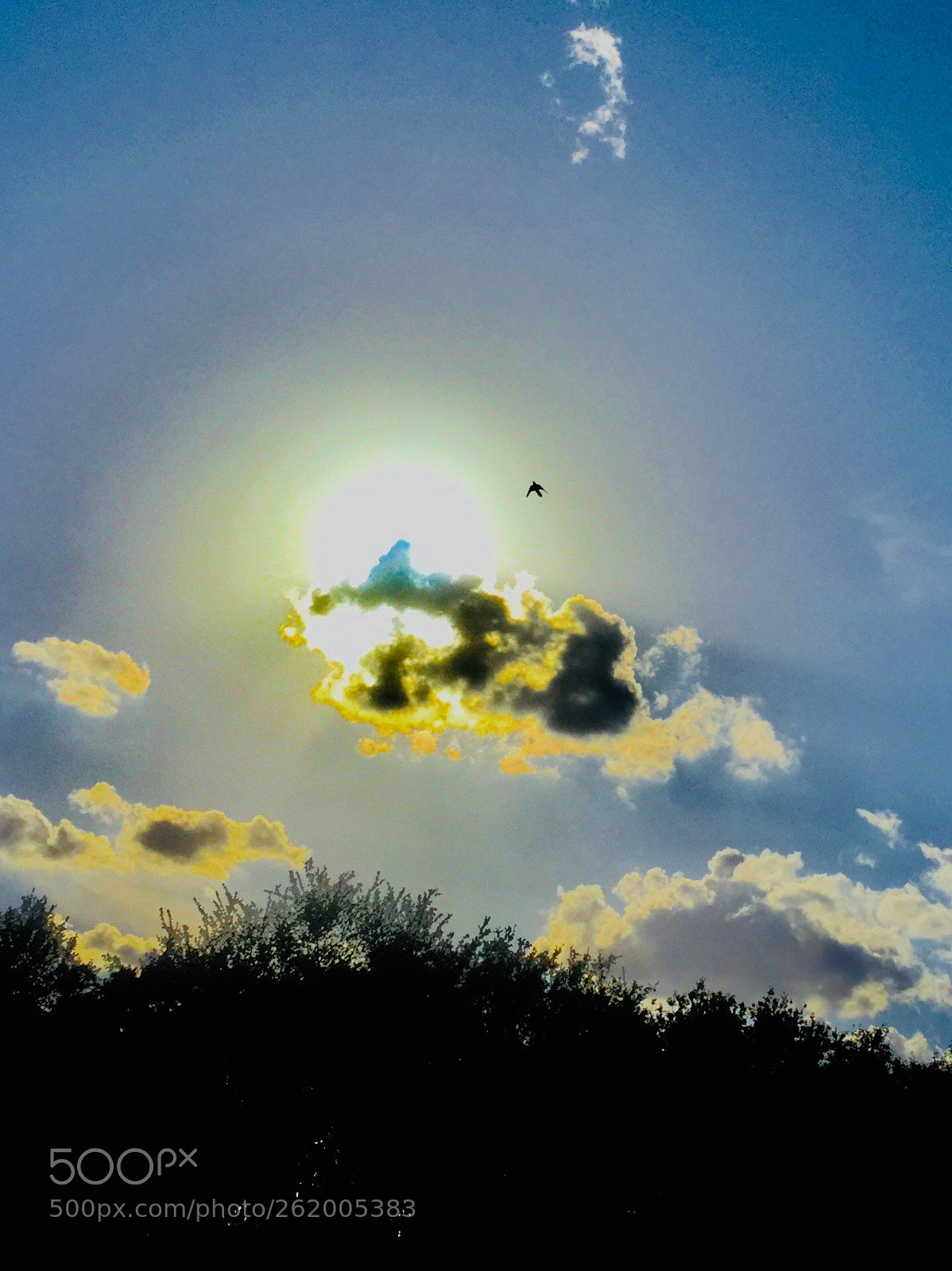 Apple iPhone 6 sample photo. A texas sundown photography