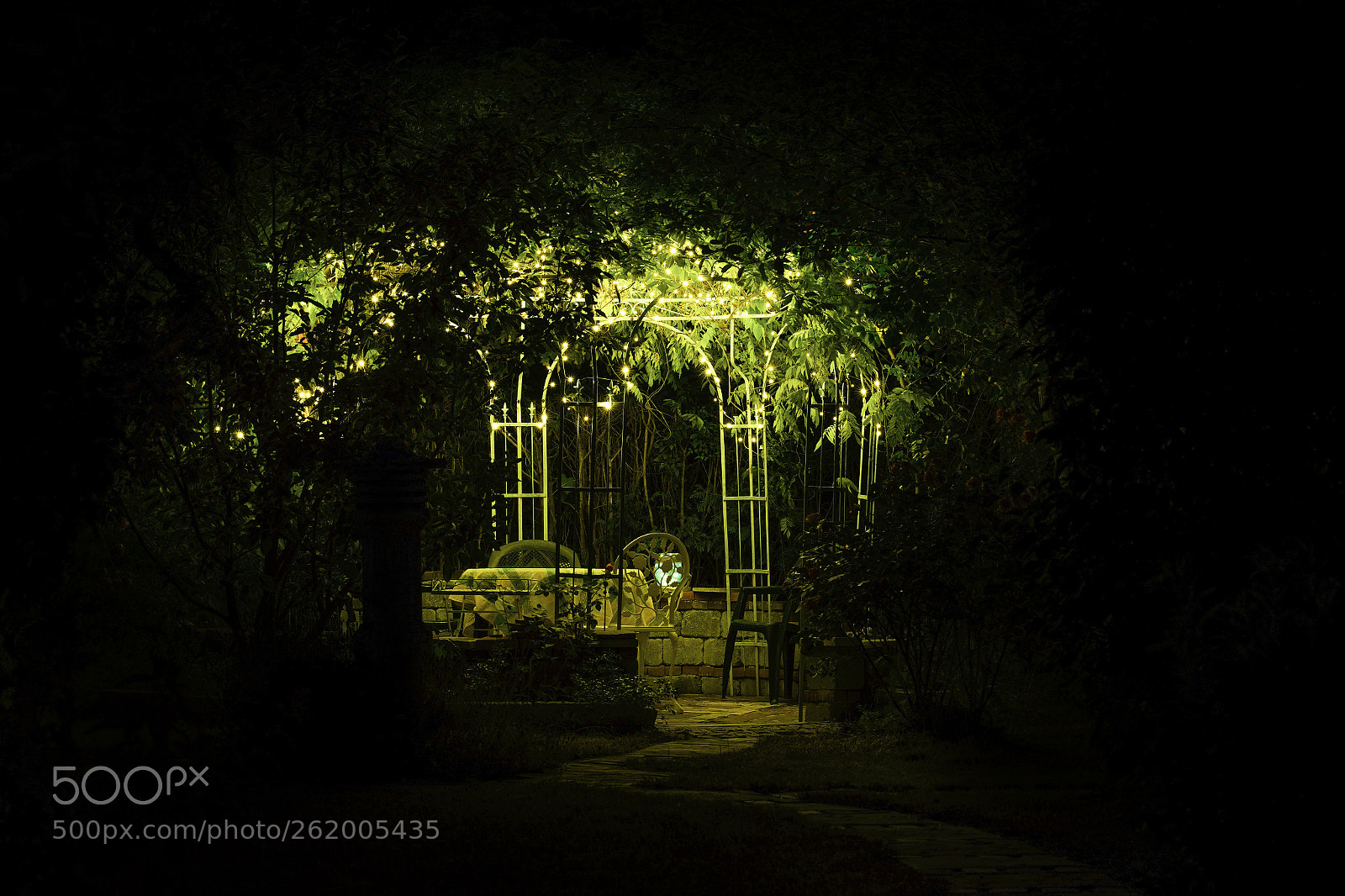 Sony a7 III sample photo. The magic garden photography
