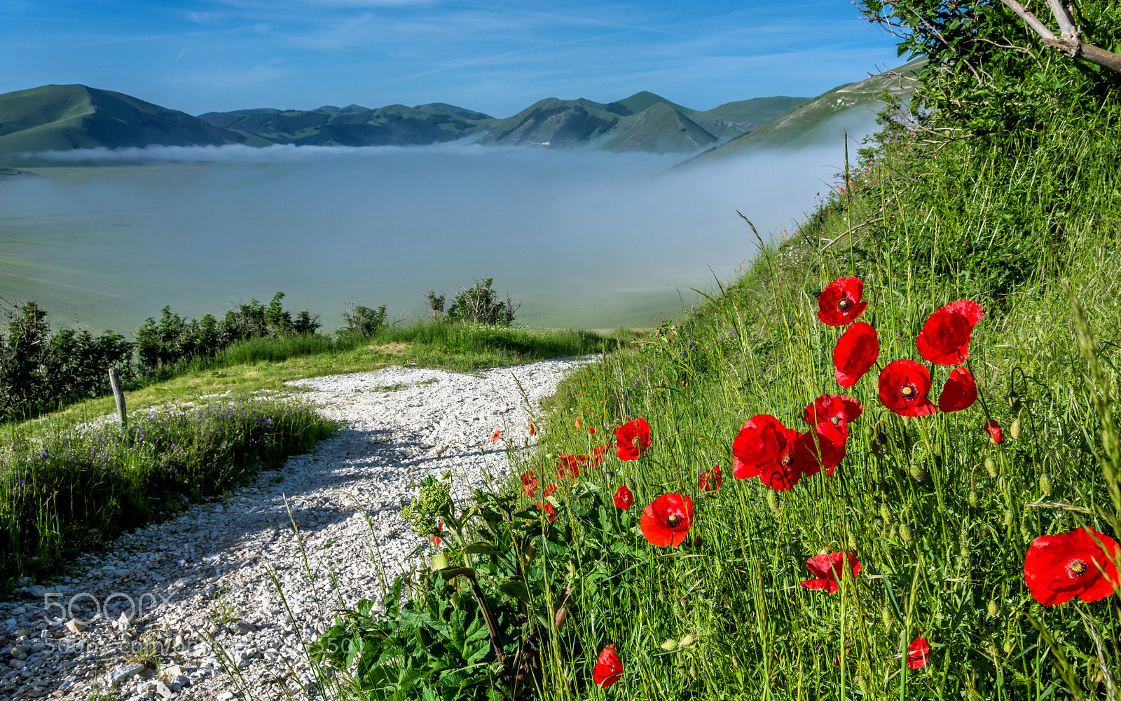Nikon D7100 sample photo. Castelluccio di norcia photography