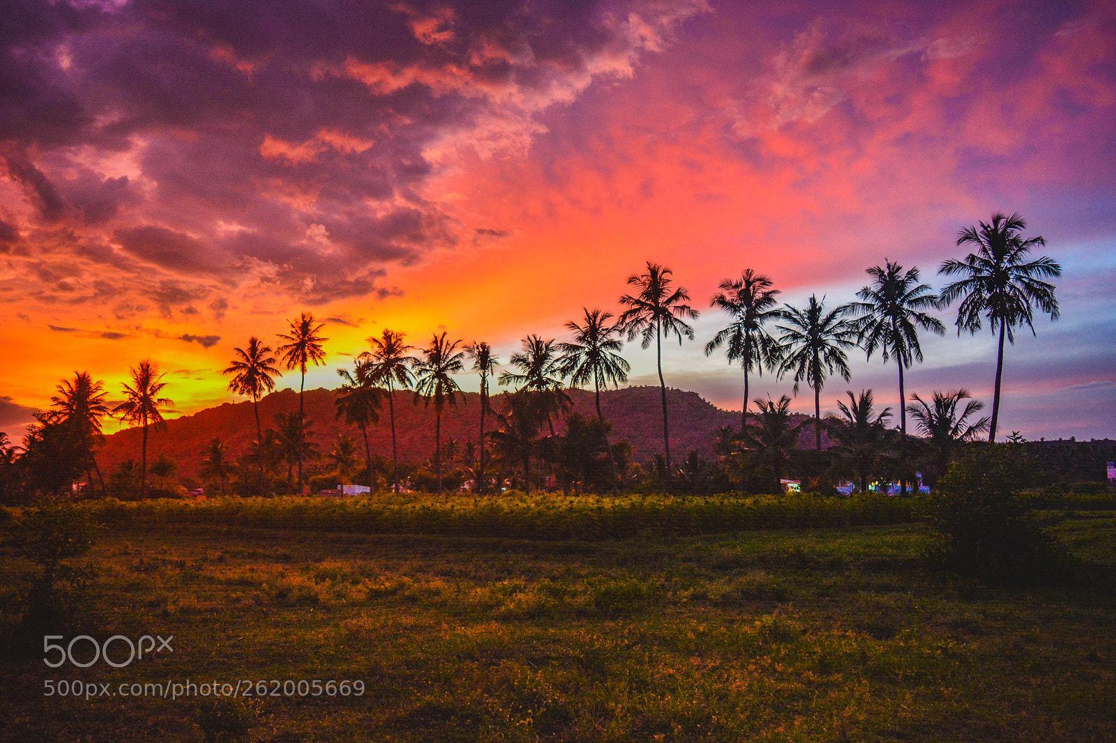 Nikon D5200 sample photo. Landscape photography