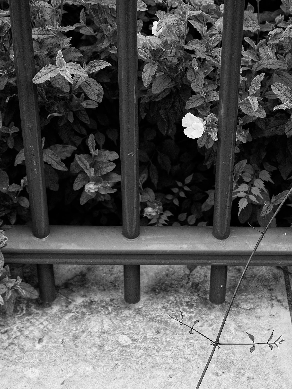 Panasonic Lumix DC-GX9 sample photo. Hit the bottom... photography