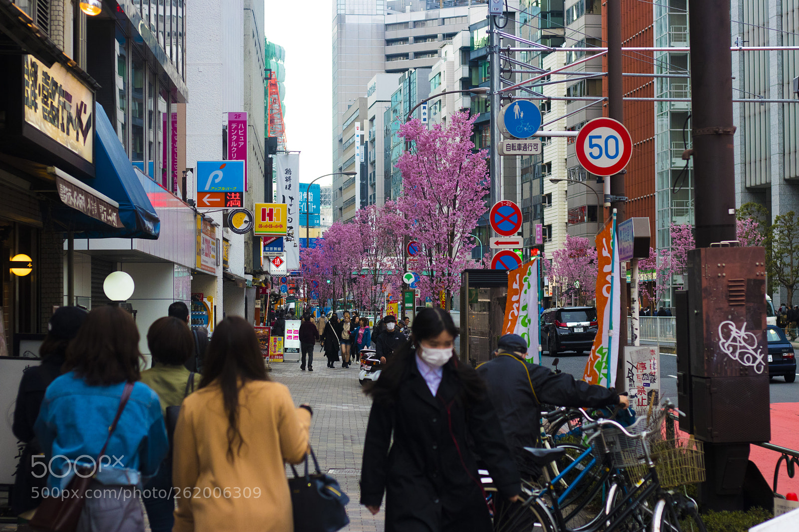 Canon EOS 80D sample photo. Sakura blossom photography