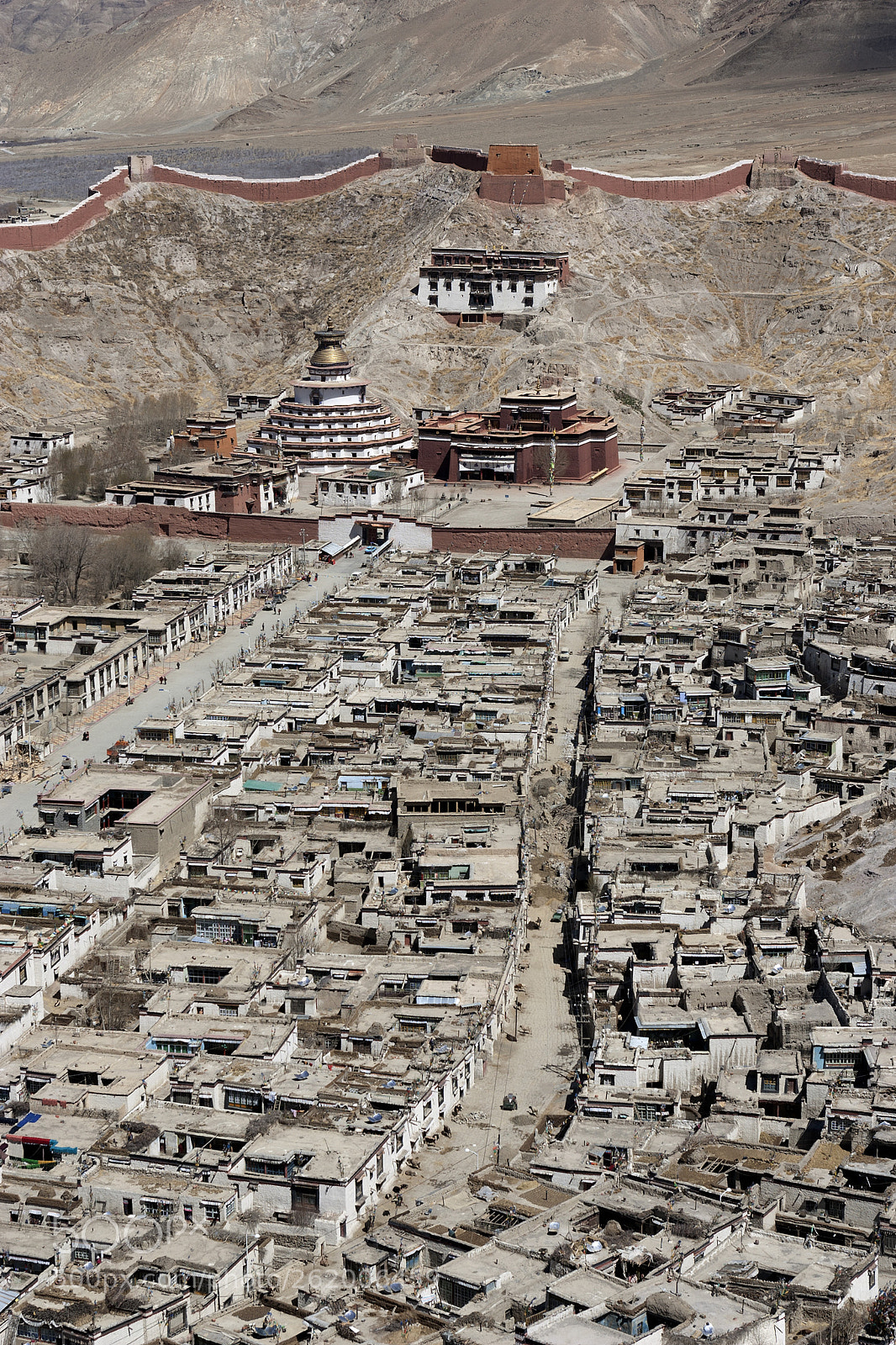 Canon EOS-1D Mark II sample photo. Tibet, gyantse photography