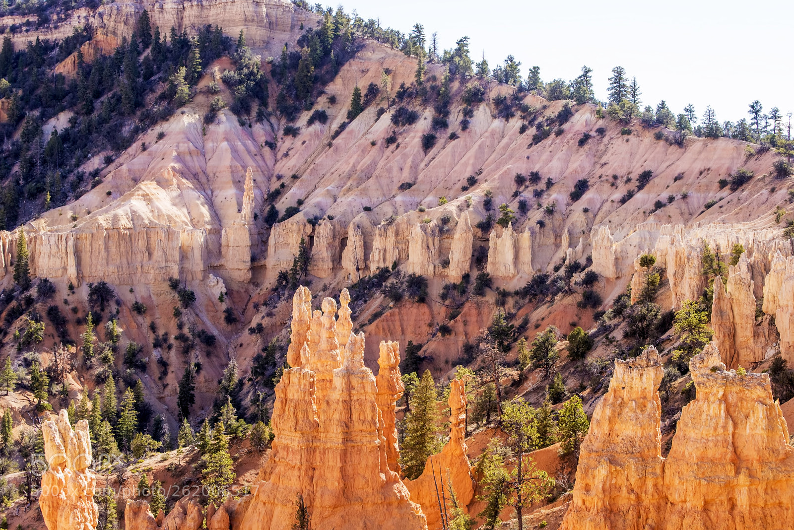 Nikon D600 sample photo. Verticals & diagonals (1) photography