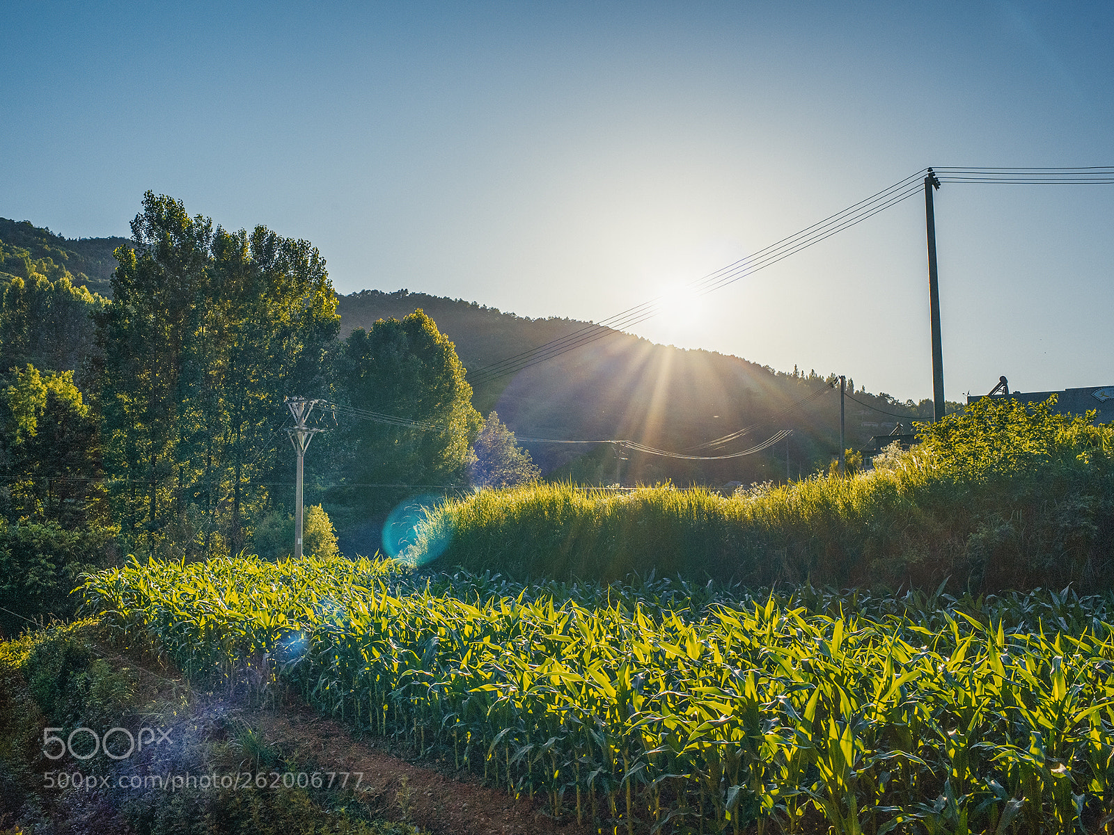 Ricoh GR sample photo. Hometown photography