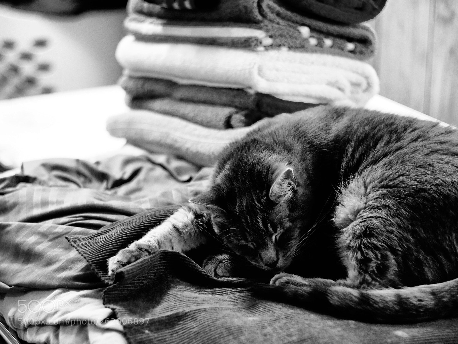 Canon EOS 80D sample photo. Untitled photography