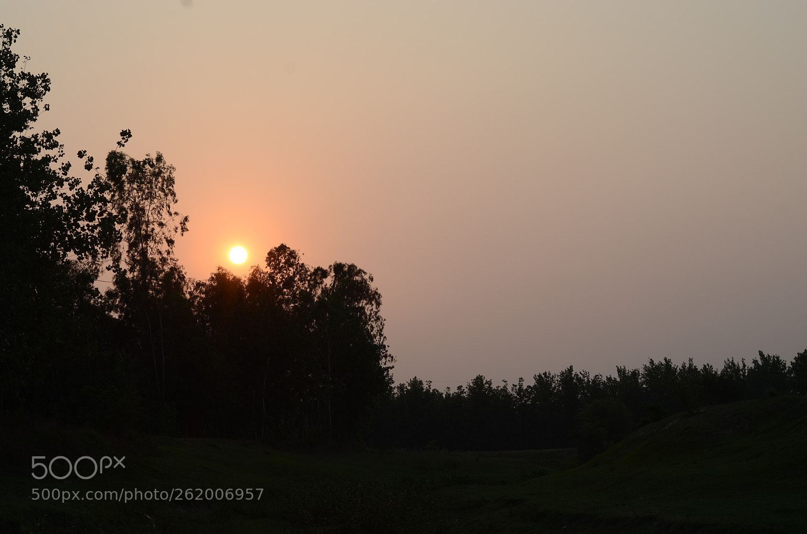 Nikon D7000 sample photo. Untitled photography