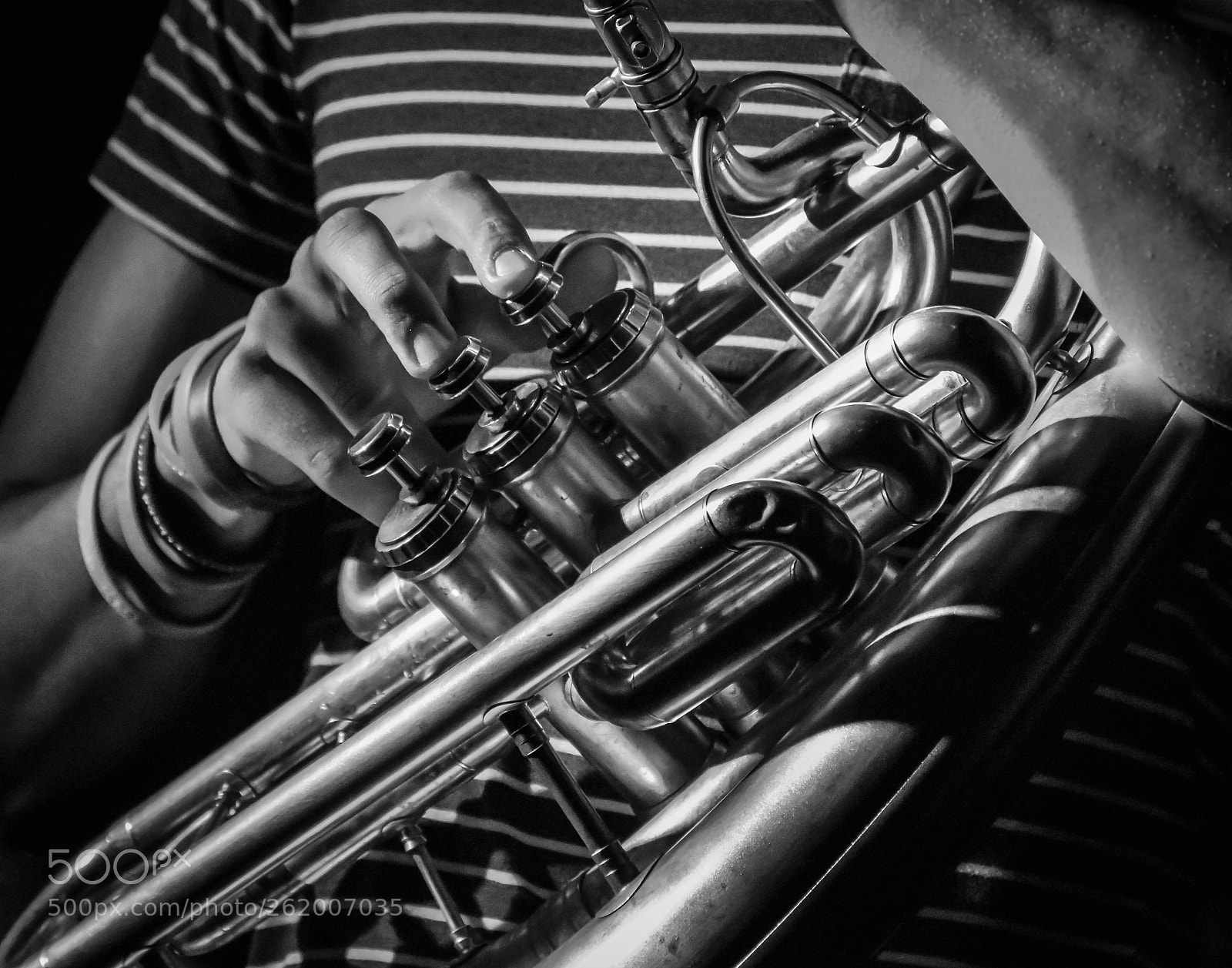 Nikon D5500 sample photo. Sousaphone (2018) photography