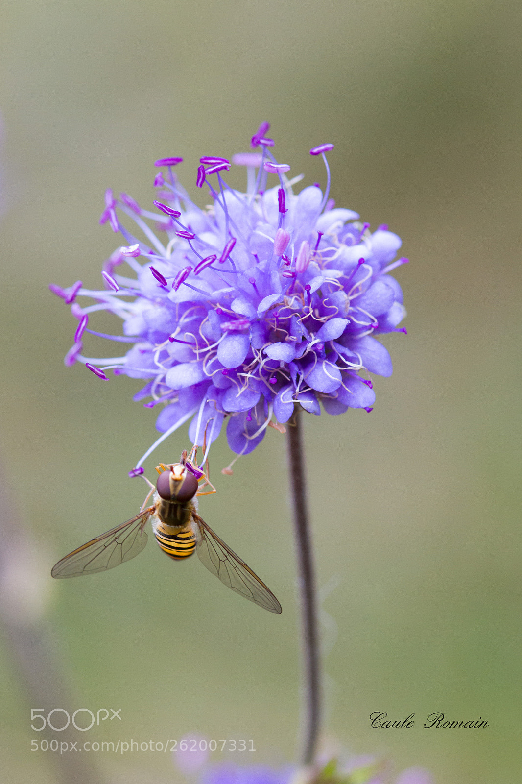 Canon EOS 7D sample photo. Untitled photography