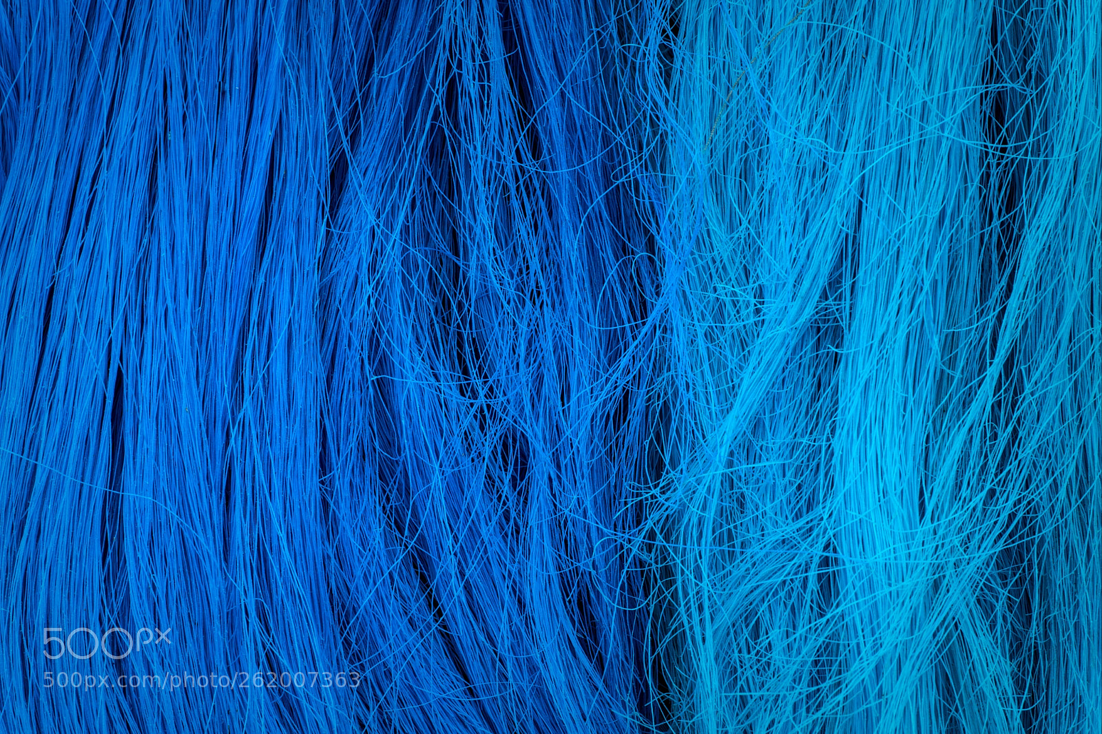 Nikon D5300 sample photo. Zeeuwse blauw photography