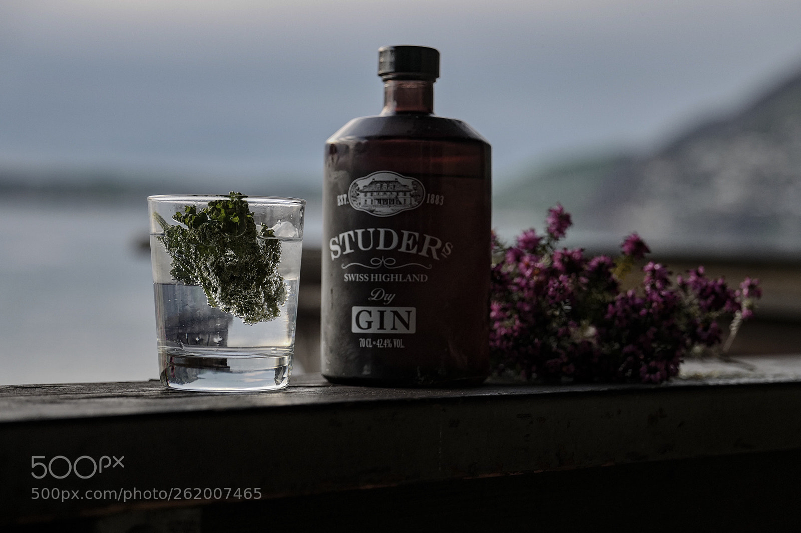 Leica SL (Typ 601) sample photo. Gin tonic  photography