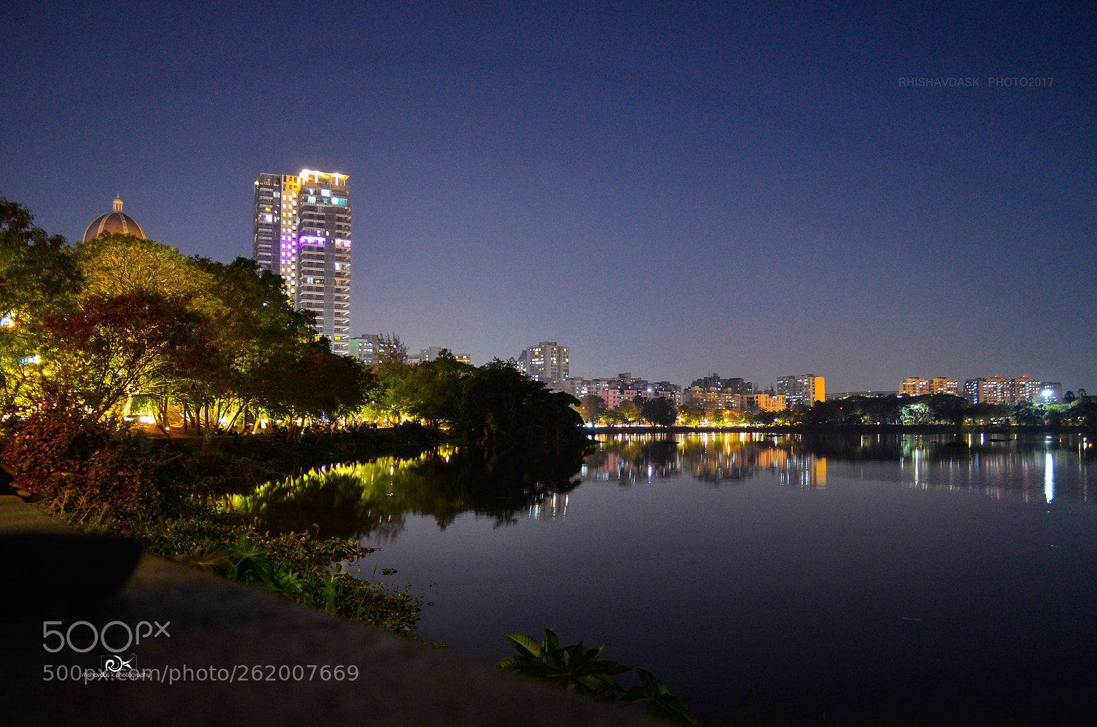 Nikon D5100 sample photo. Untitled photography