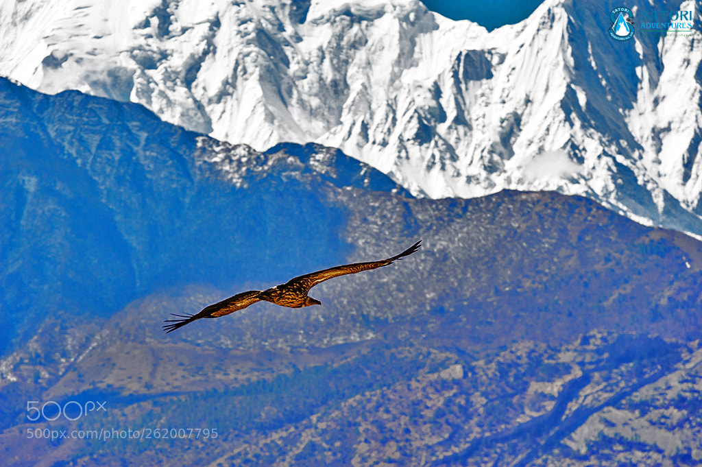 Nikon D700 sample photo. Upper mustang trek photography