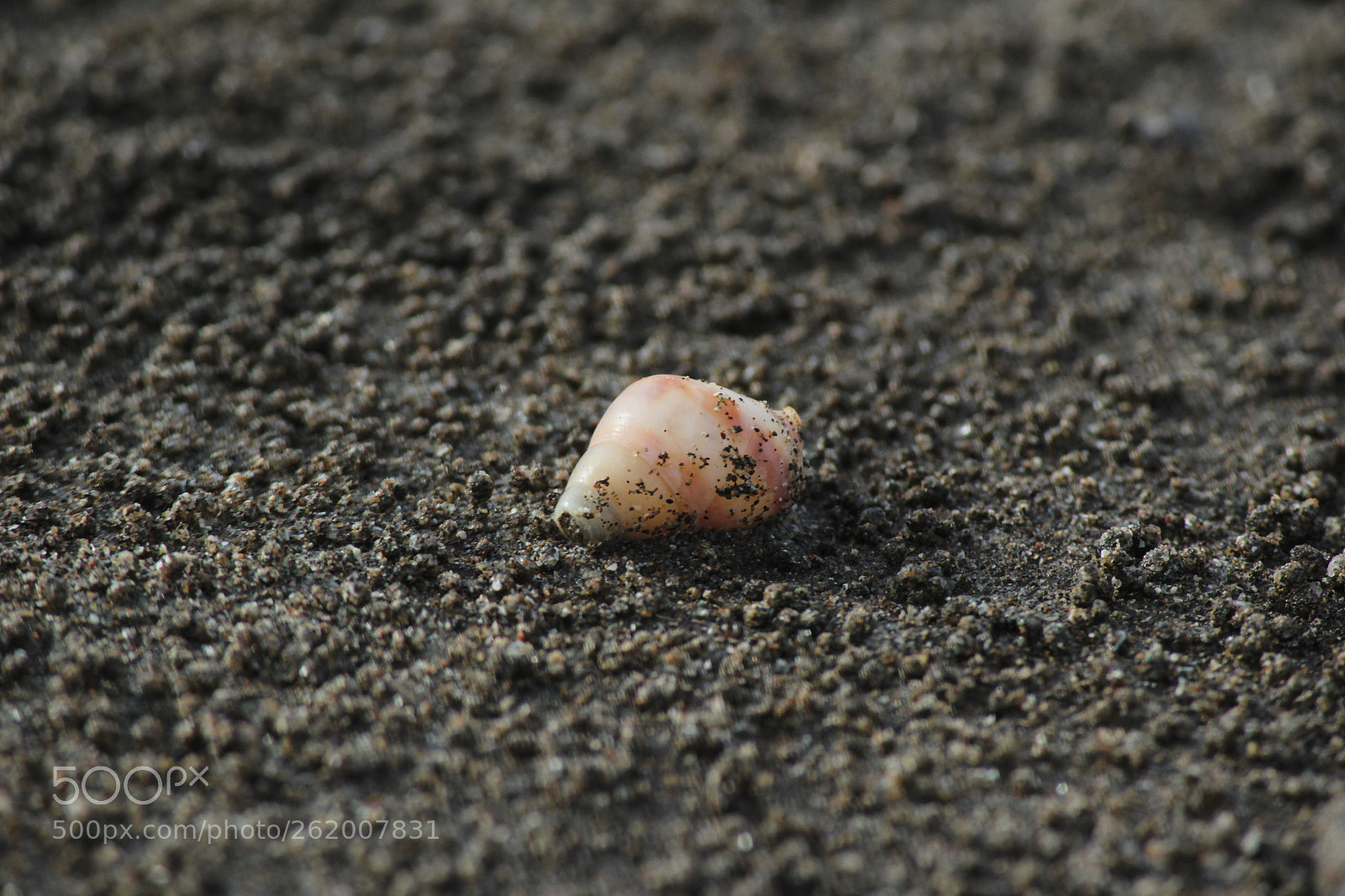 Canon EF-S 55-250mm F4-5.6 IS II sample photo. End of story photography