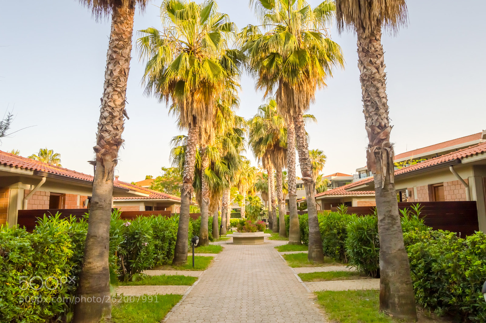 Nikon D3200 sample photo. Bungalows lined with palm photography