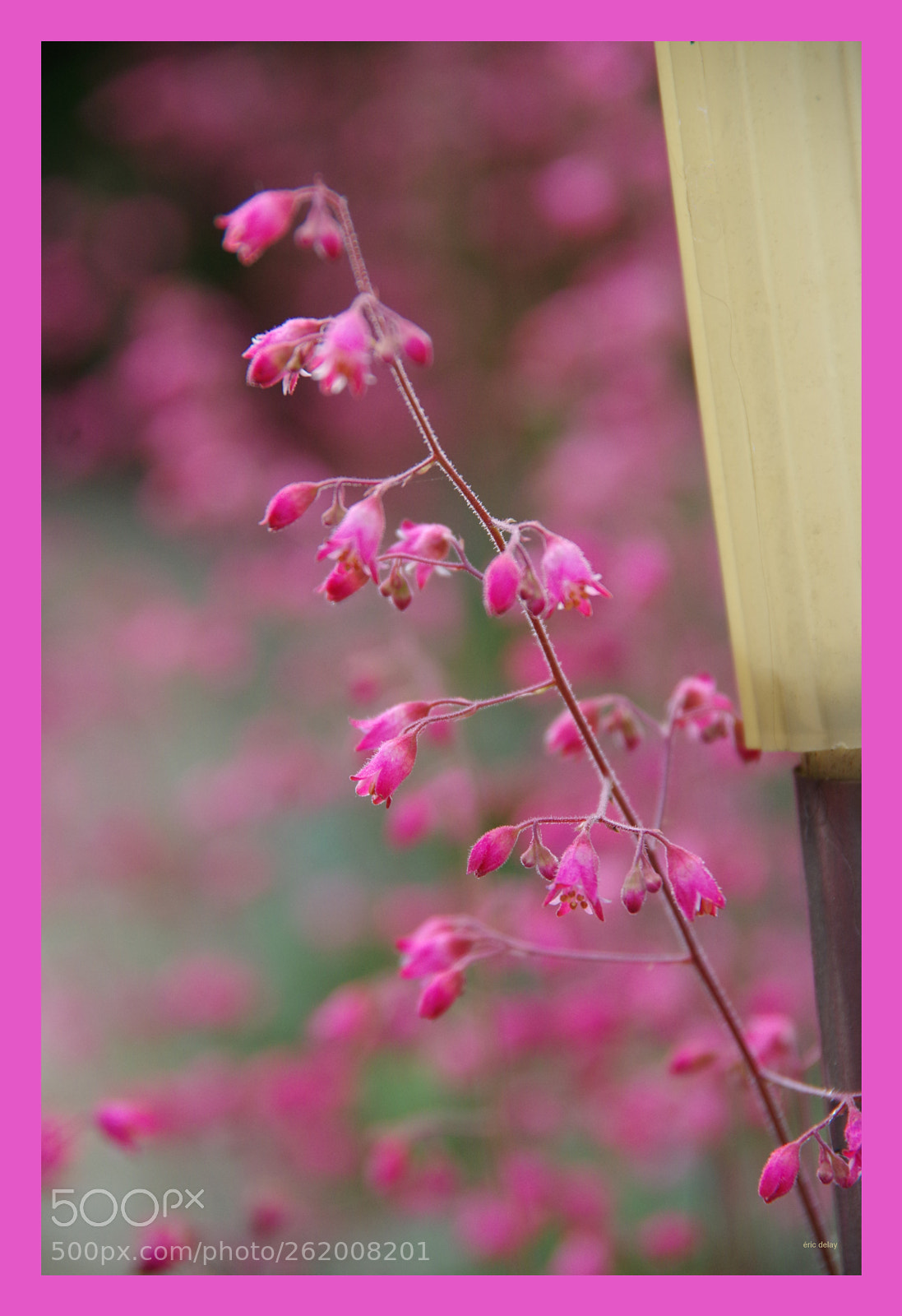 Pentax K-3 sample photo. Lumière photography