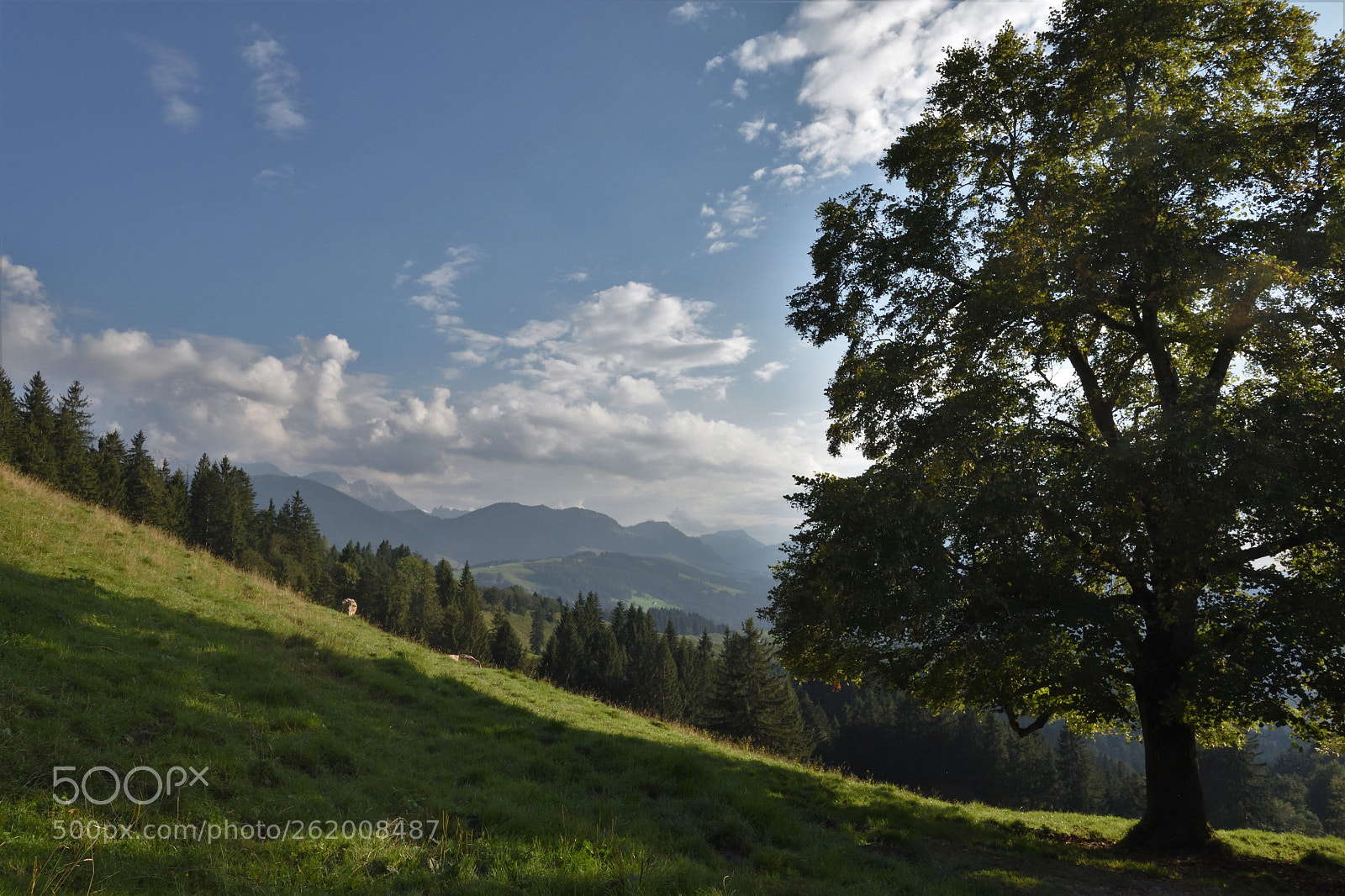 Nikon D810 sample photo. "landscape" photography