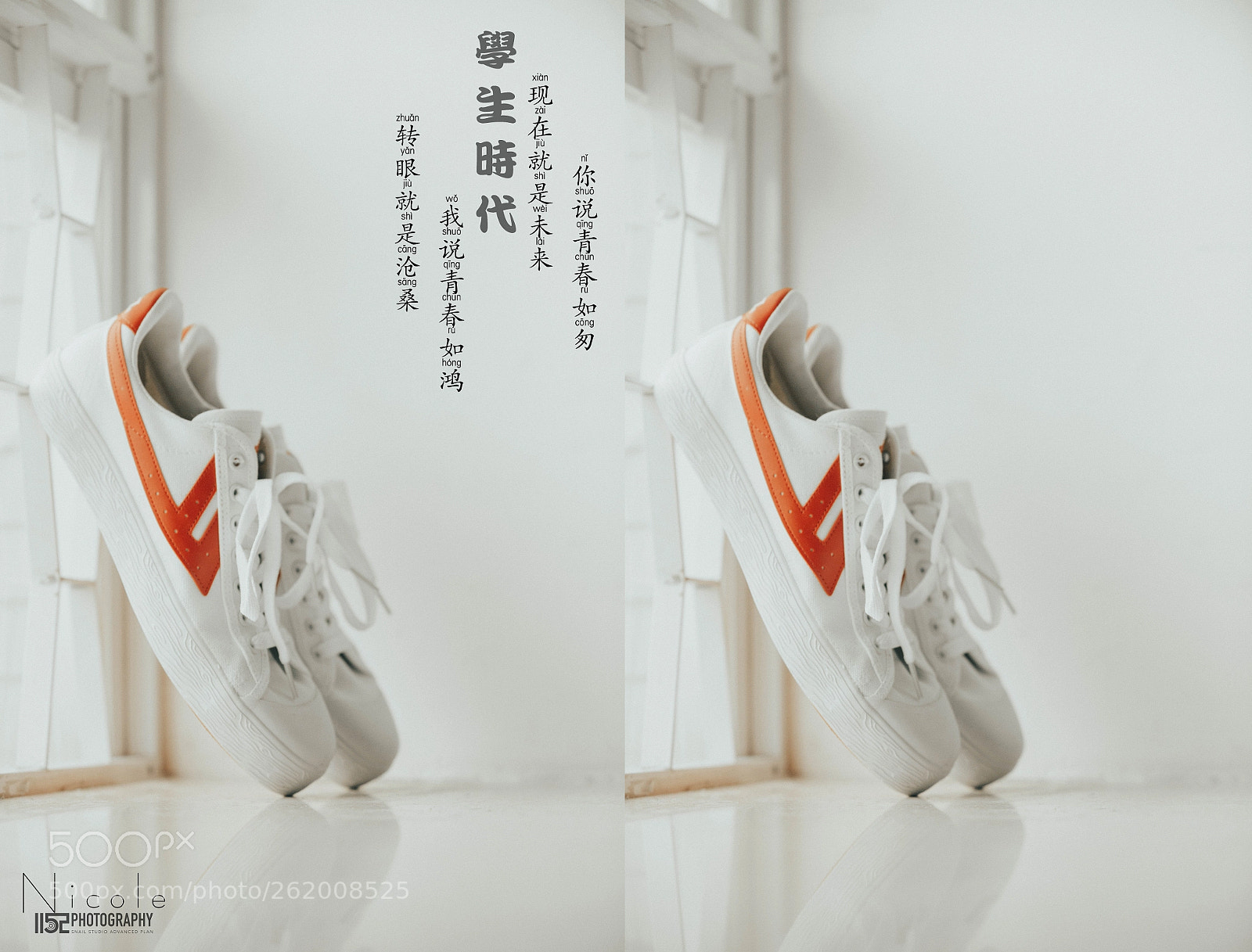 Nikon D800 sample photo. 回 photography