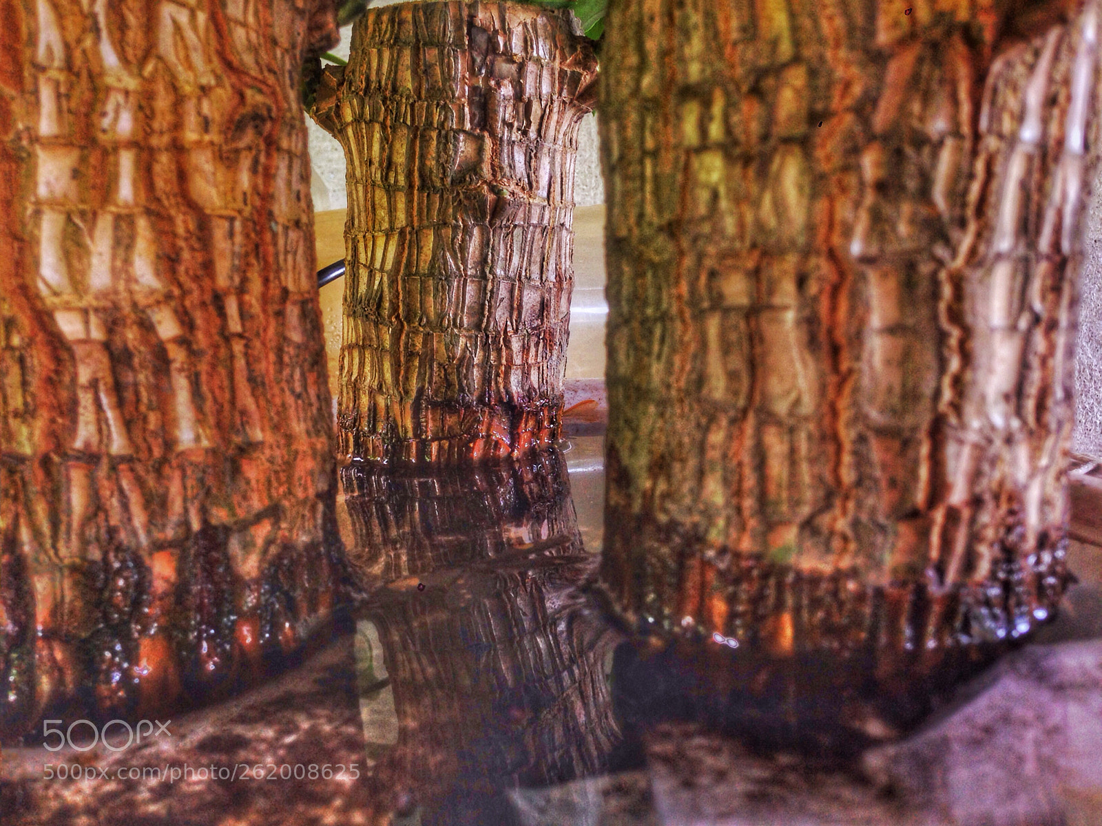 Apple iPhone 5 sample photo. Trunks photography