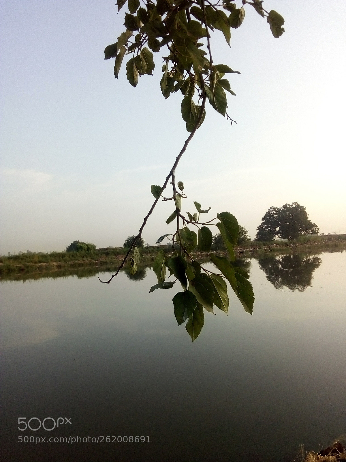 HUAWEI Y5 2017 sample photo. Untitled photography