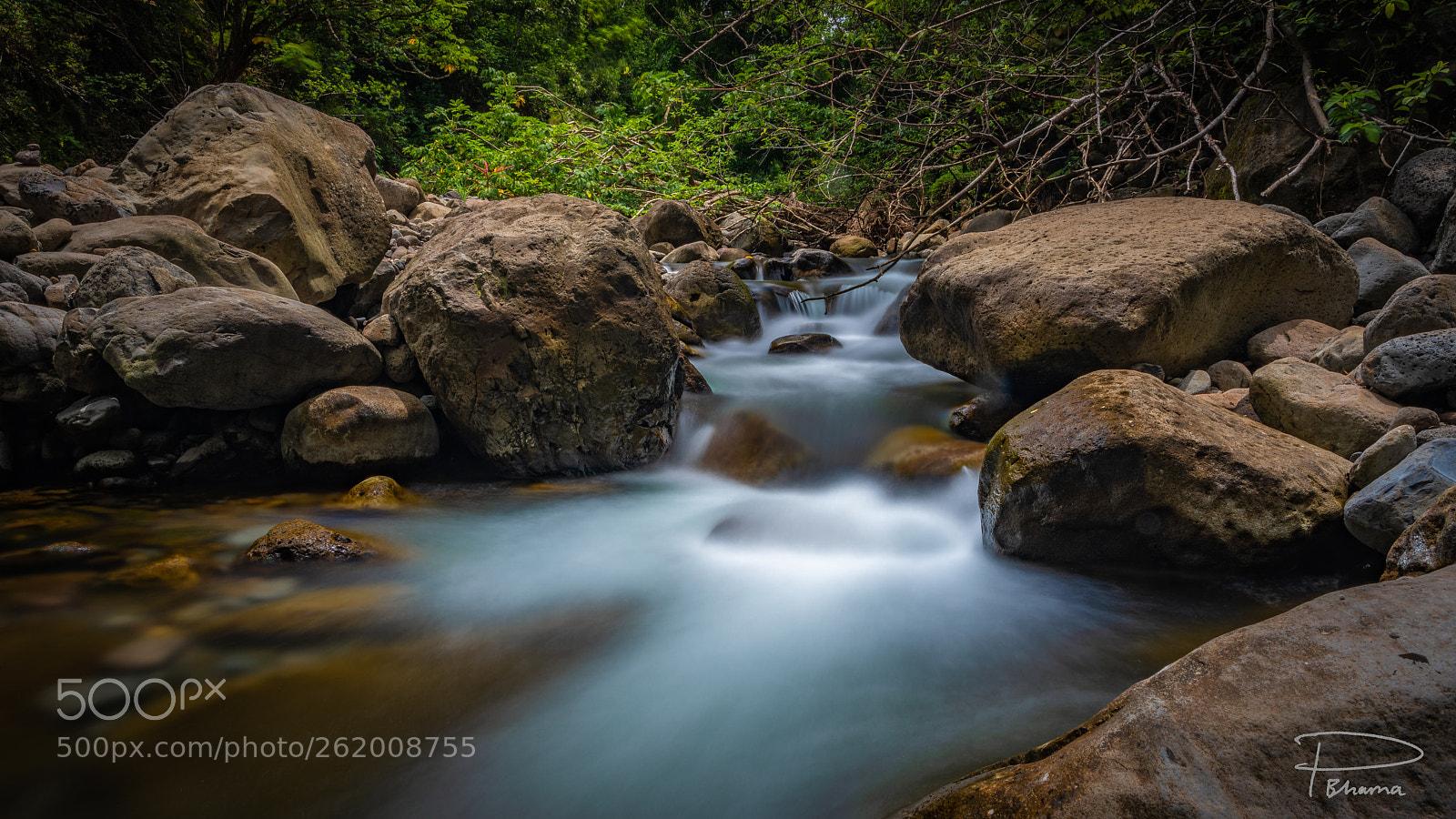 Nikon D850 sample photo. Running water photography