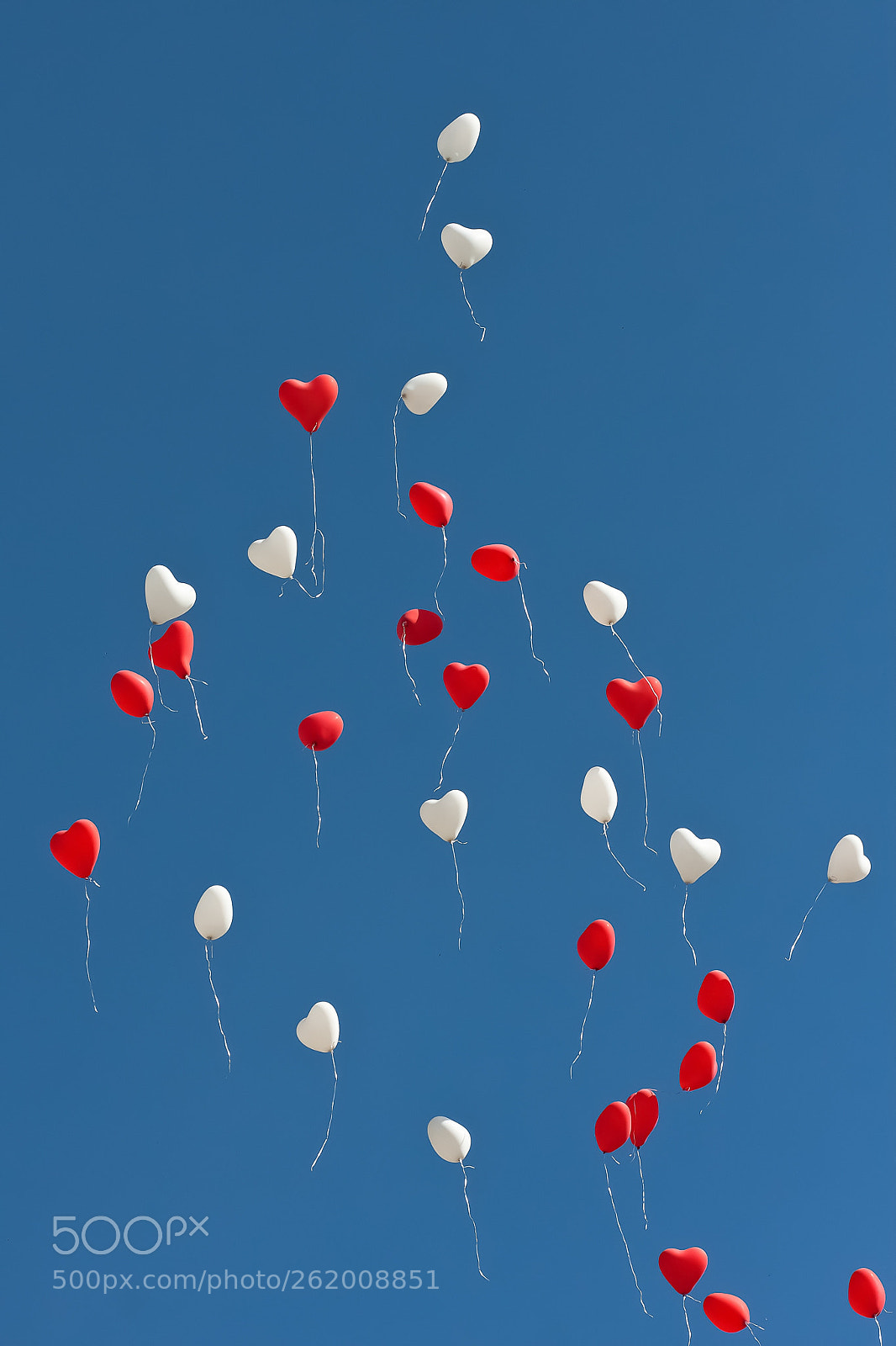 Canon EOS 40D sample photo. Love is in the photography